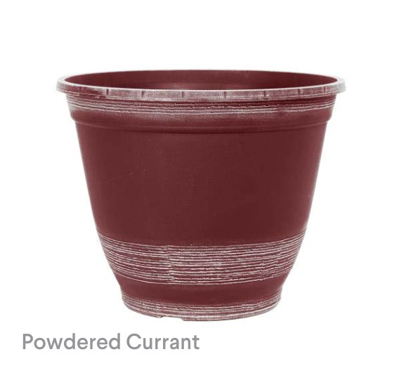 image of Forest Powdered Currant Planter